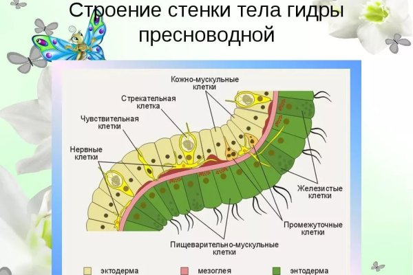 Проверенная ссылка кракен