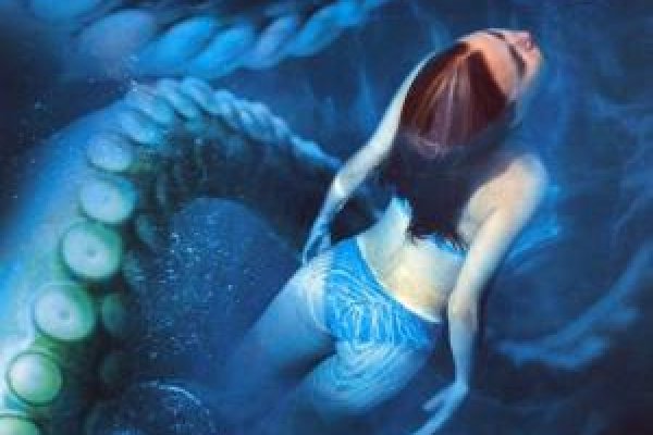 Kraken 11at
