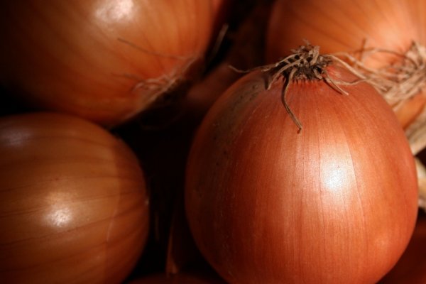 Сайты по продаже наркотиков