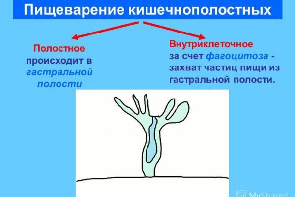 Кракен стор