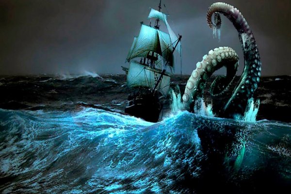 Kraken whitenet ссылка тор