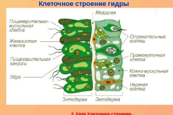 Новый адрес кракен