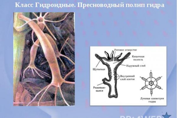 Кракен онион тор