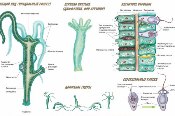 Ссылка кракен kraken torion net