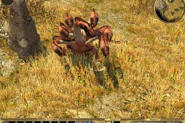 Kraken official