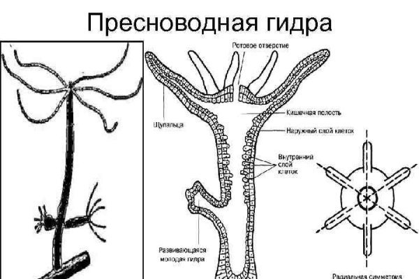 Kra48.cc Вход на сайт главная страница