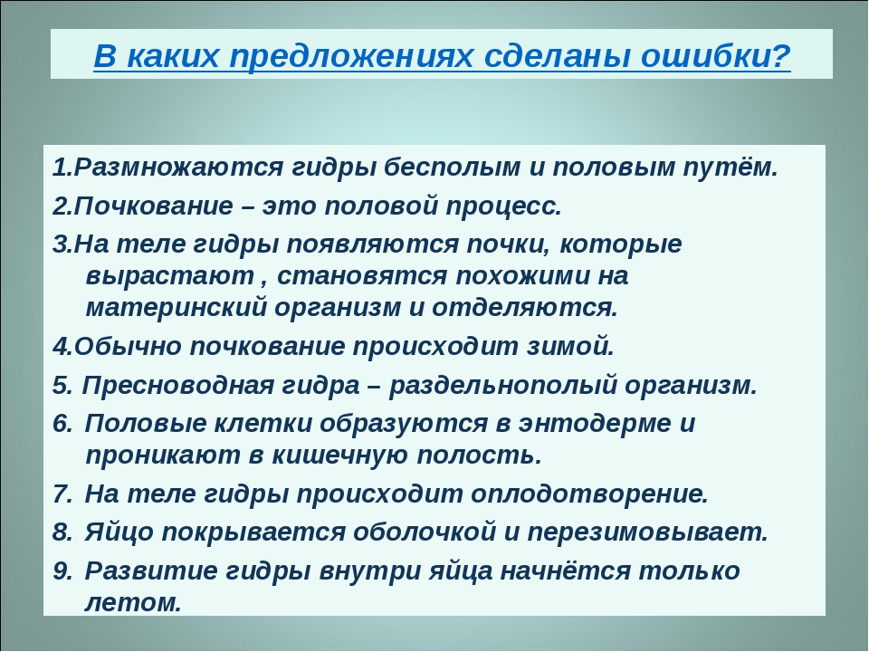Кракен наркота что это