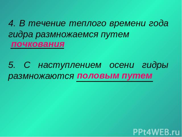 Настоящий сайт kraken
